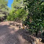 Casa vacanze Casa Orient *