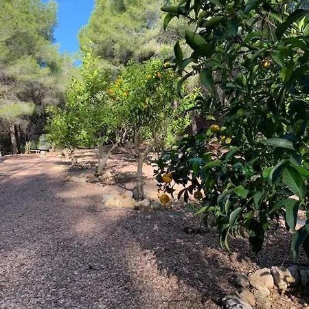 Vakantiehuis Casa Orient *